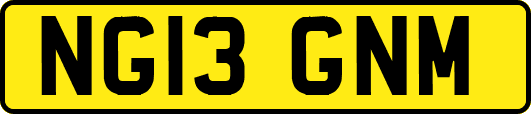 NG13GNM