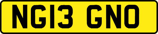 NG13GNO