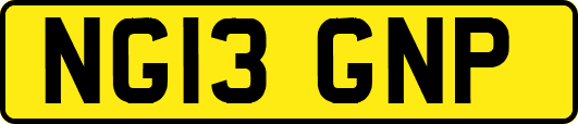 NG13GNP