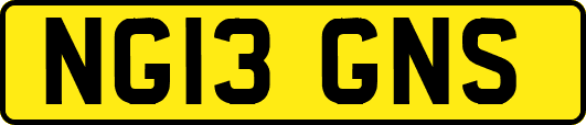 NG13GNS