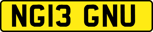 NG13GNU