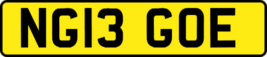 NG13GOE