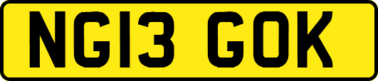 NG13GOK