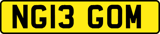 NG13GOM