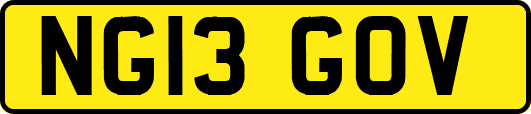 NG13GOV