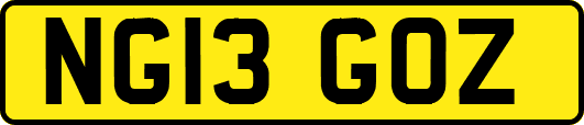 NG13GOZ