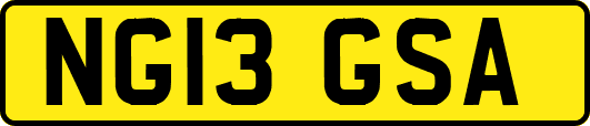 NG13GSA
