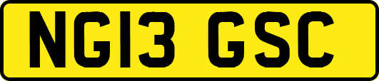 NG13GSC