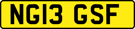 NG13GSF