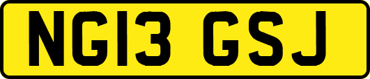 NG13GSJ