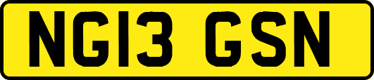 NG13GSN