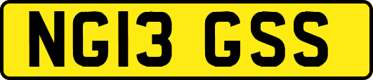 NG13GSS