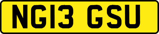 NG13GSU
