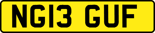 NG13GUF