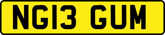 NG13GUM