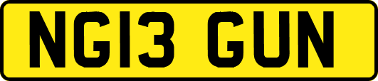 NG13GUN