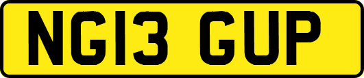 NG13GUP