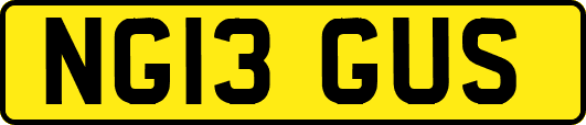 NG13GUS