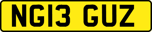 NG13GUZ