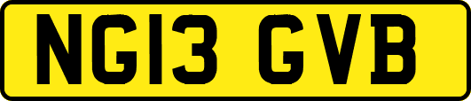 NG13GVB