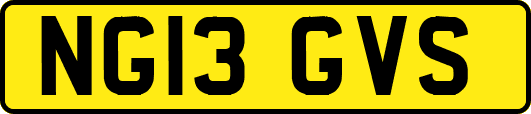 NG13GVS