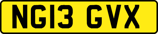 NG13GVX