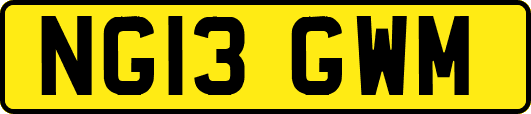 NG13GWM