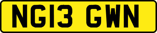 NG13GWN