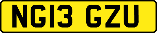 NG13GZU