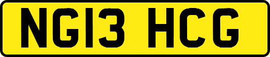NG13HCG