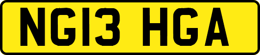NG13HGA