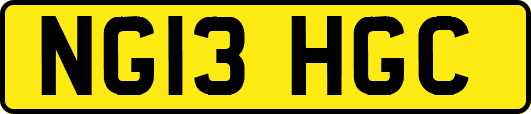 NG13HGC