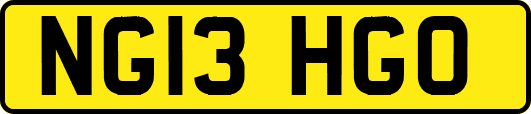 NG13HGO