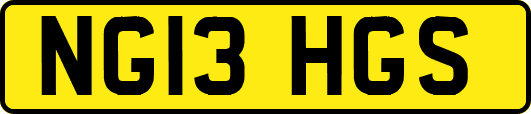 NG13HGS