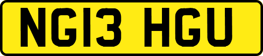 NG13HGU