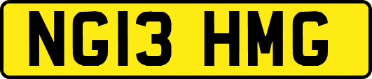 NG13HMG