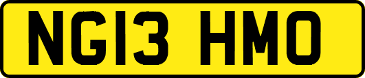 NG13HMO