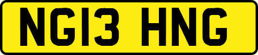 NG13HNG