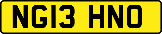 NG13HNO