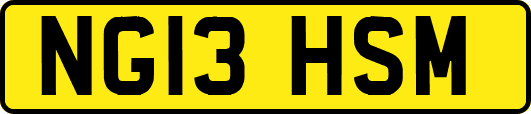 NG13HSM