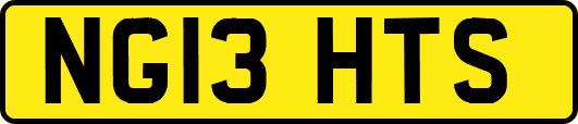 NG13HTS