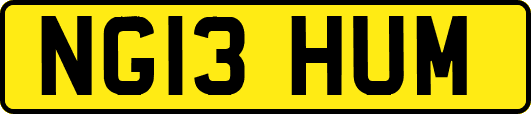 NG13HUM