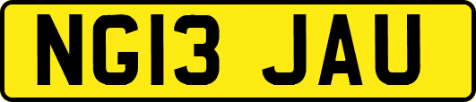NG13JAU