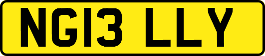NG13LLY