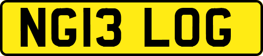 NG13LOG