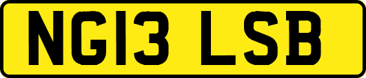 NG13LSB