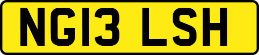 NG13LSH