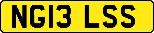 NG13LSS