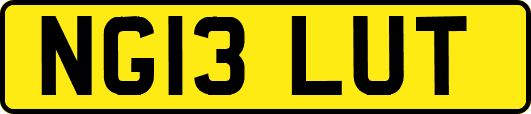 NG13LUT