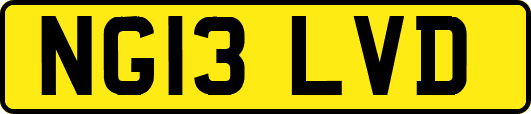 NG13LVD